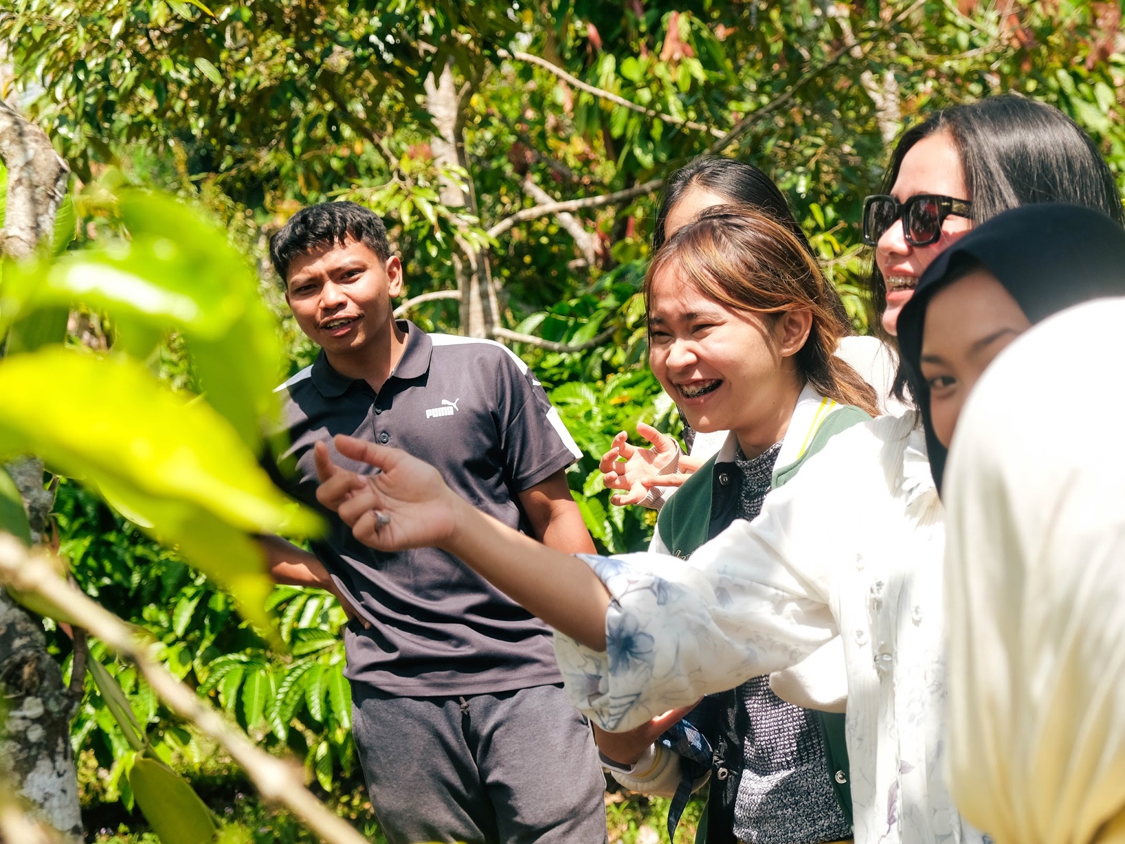 Agrowisata Kopi Arabika